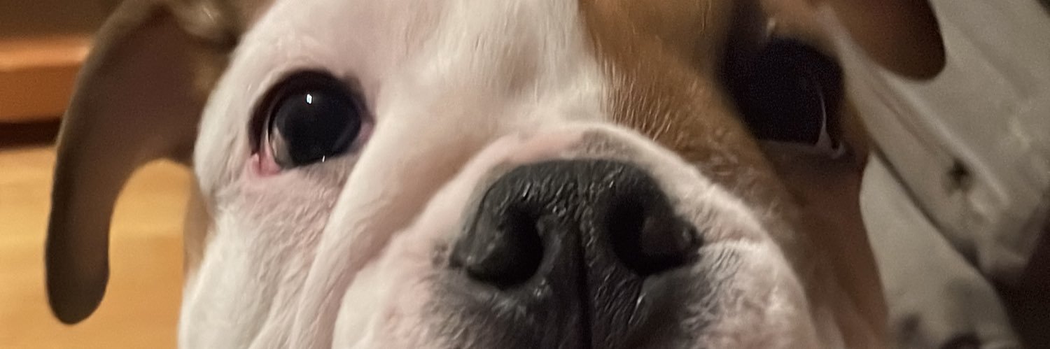 junelyfay's profile banner image
