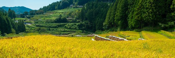 JAcom農業協同組合新聞 banner