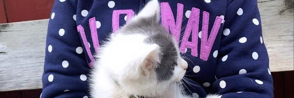 Shb_62 Profile Banner