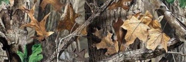 BrooksSpoon's profile banner image