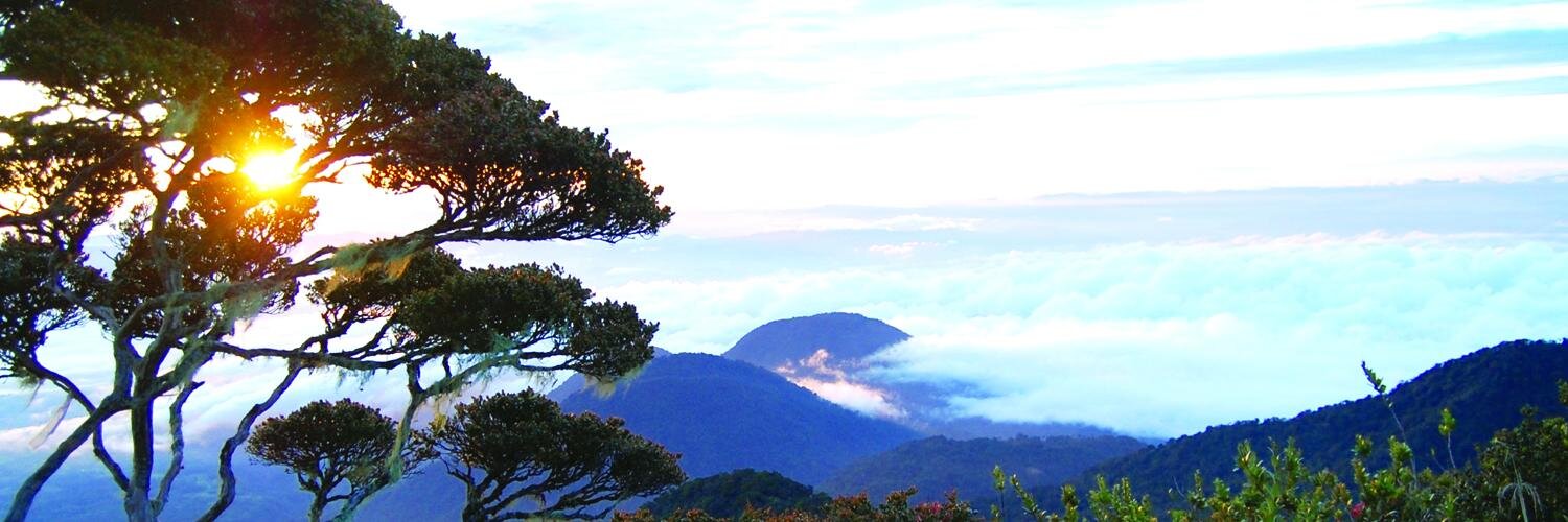 ASEANBiodiversity banner