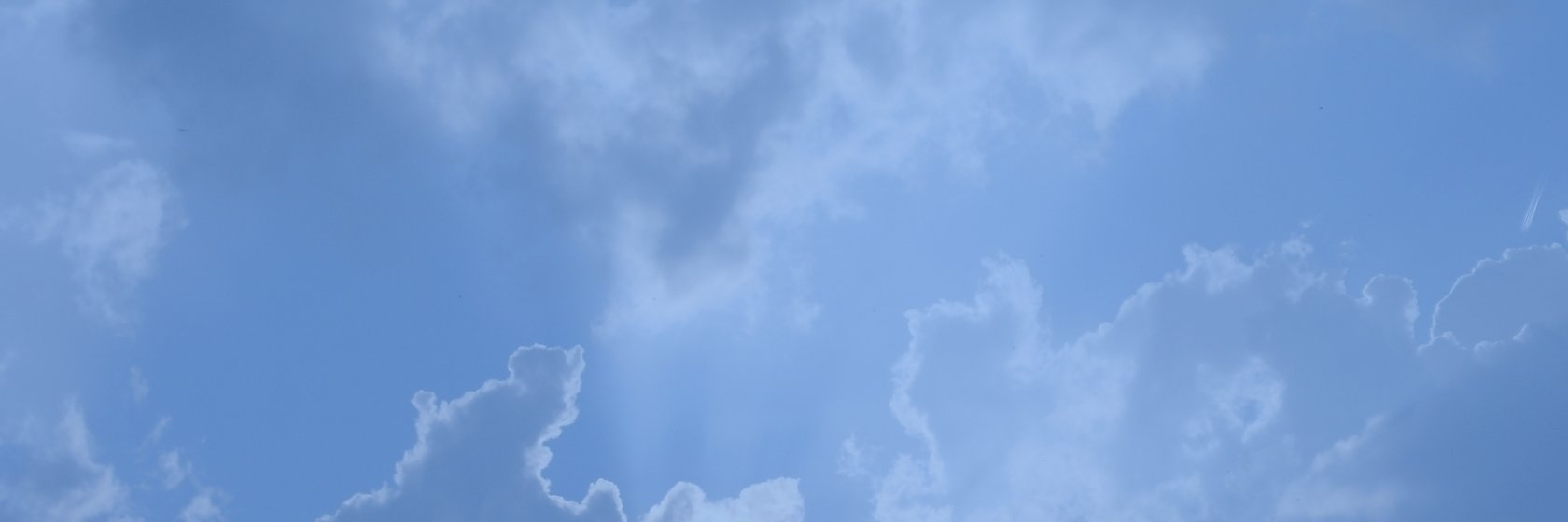 Tellstar's profile banner image