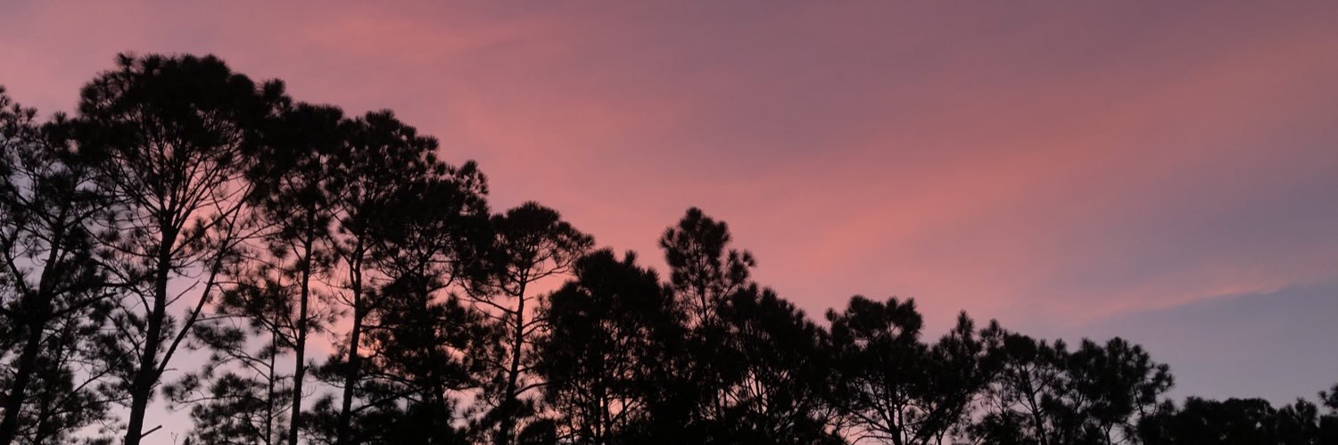 revenge0902's profile banner image