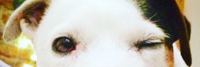 Karen from No.17 🏳️‍🌈 👬🍾🇬🇧🎭 banner