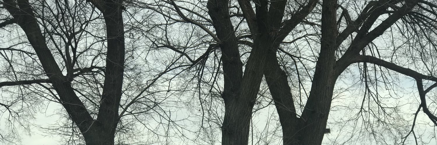 NatMartinez16's profile banner image