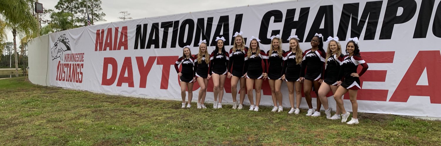 Morningside College Cheer banner