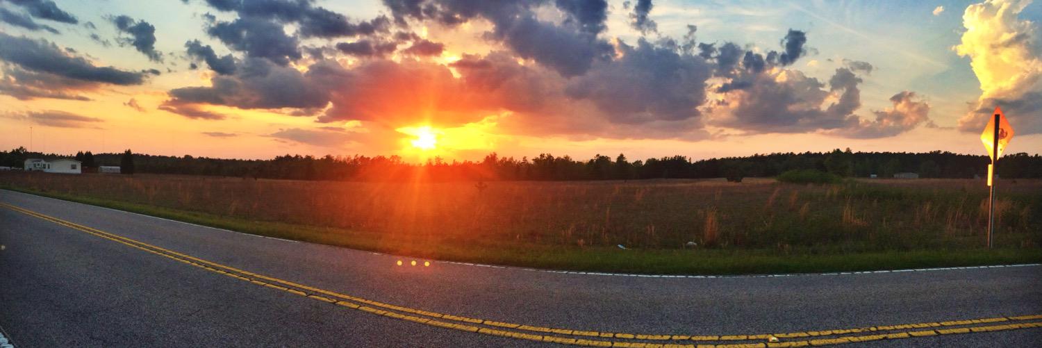 halie_beard21's profile banner image