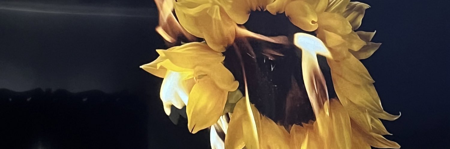 wmnrcp's profile banner image