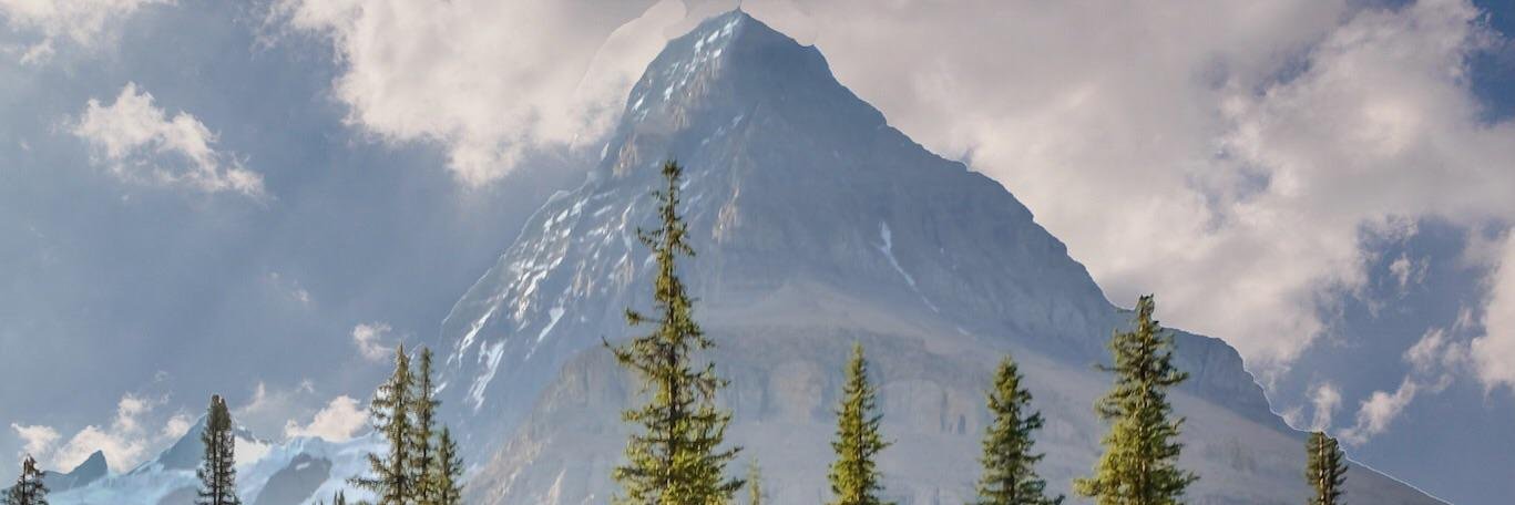 AlwaysTird's profile banner image