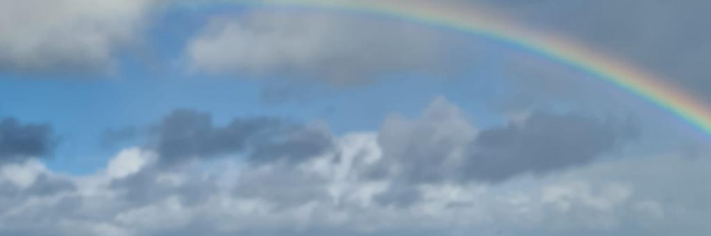 lechuck1234's profile banner image