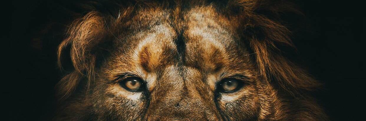 Rdiniputra's profile banner image
