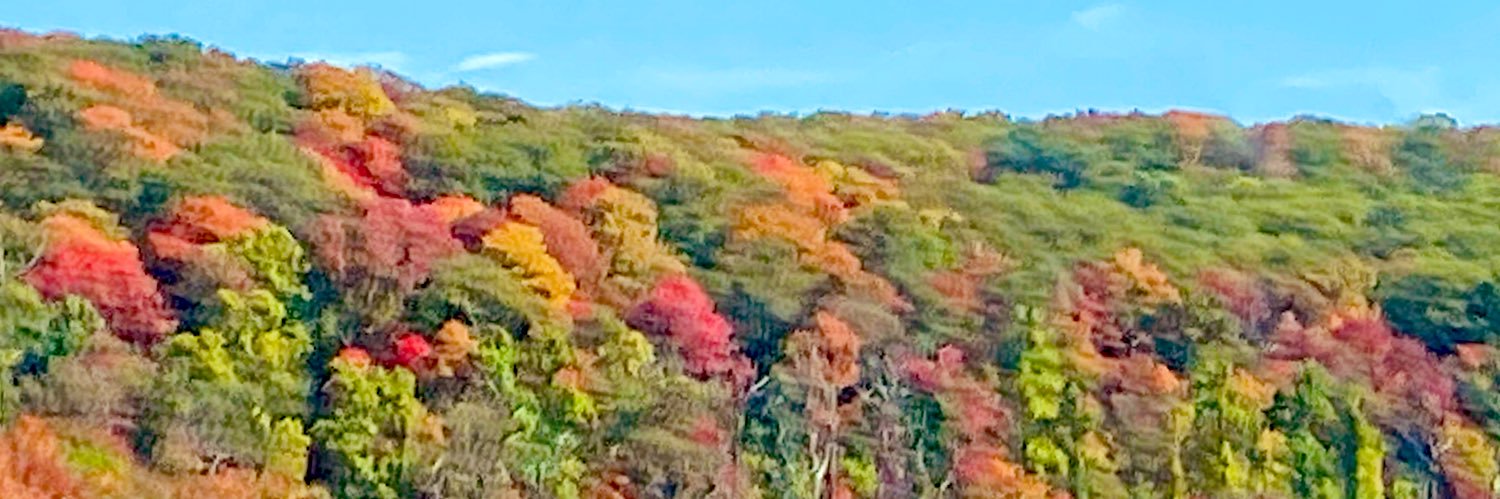 Christine Bishop banner