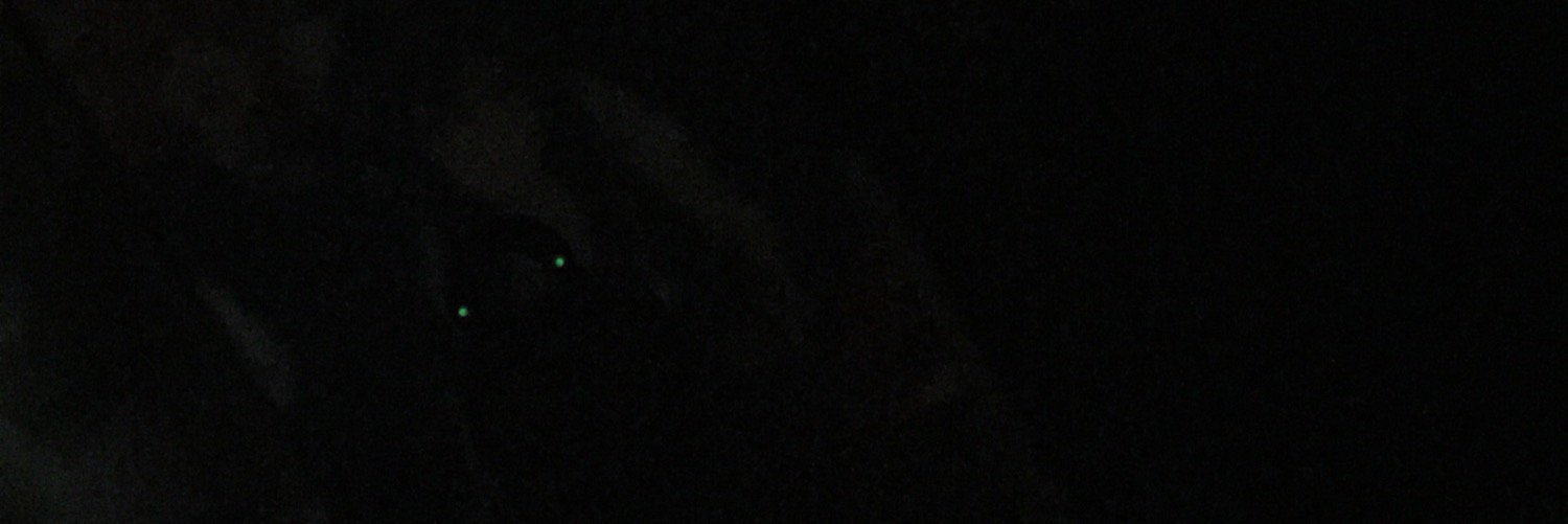 R_AONO's profile banner image