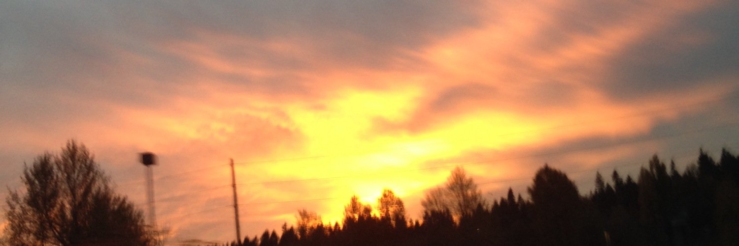 iriskim1025's profile banner image