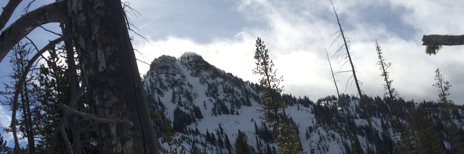 Jackmasterzippy's profile banner image