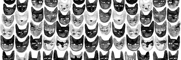 falina_j's profile banner image