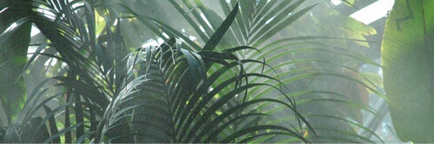 kphaaaaam's profile banner image