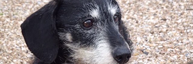 MLubbers1's profile banner image