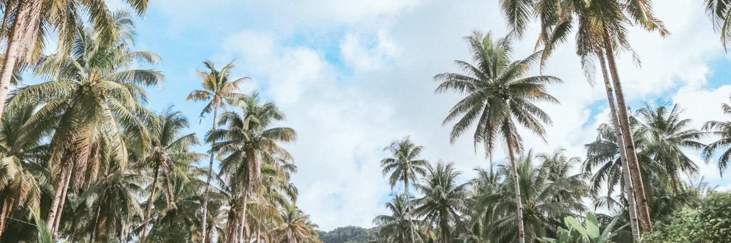 denilleanne's profile banner image