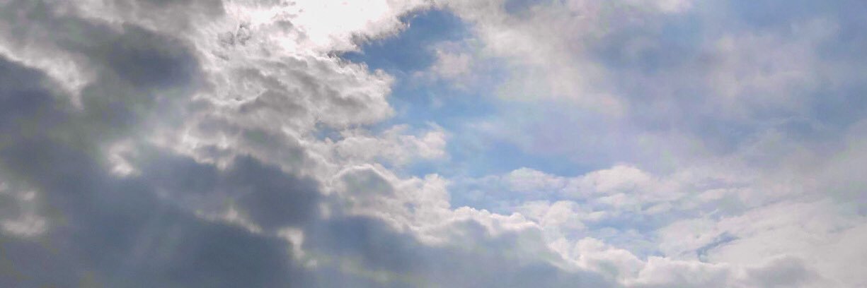 onigirigoroku's profile banner image