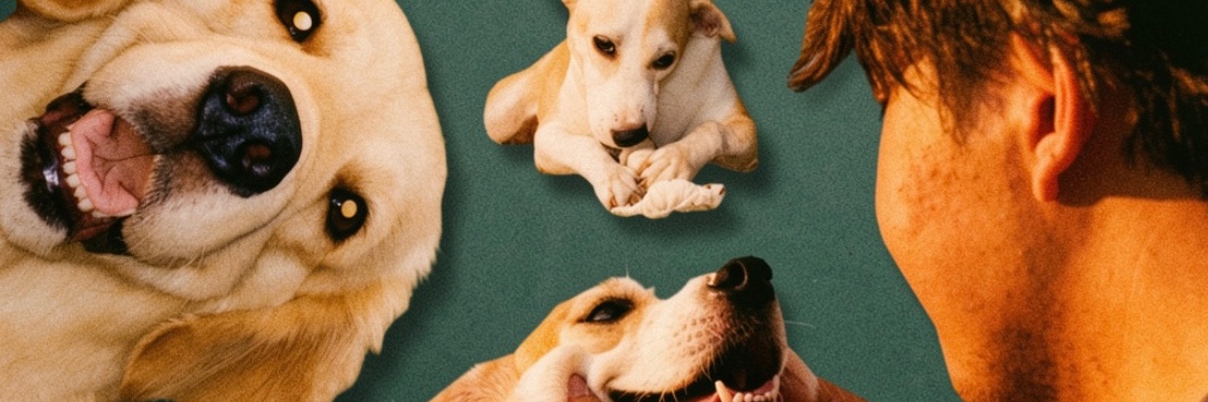 hersinnerside's profile banner image