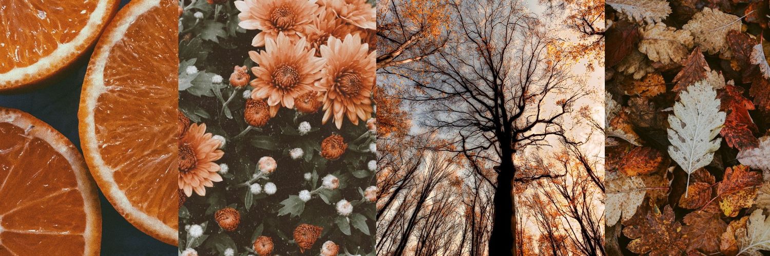 appleandness's profile banner image
