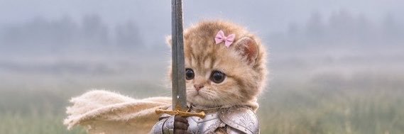 knightcatArmyyy's profile banner image