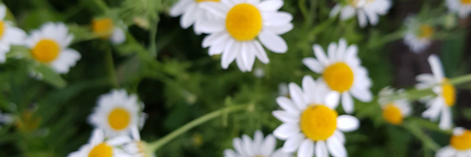MarianaD08's profile banner image