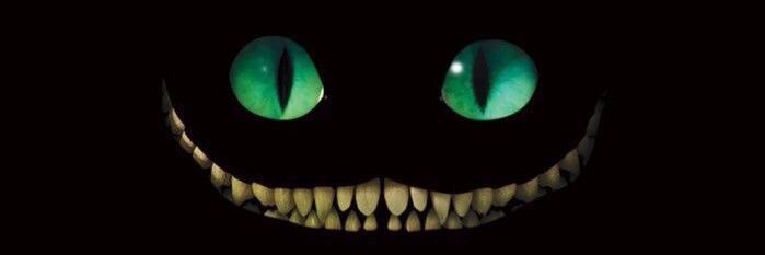 dedyamaral's profile banner image