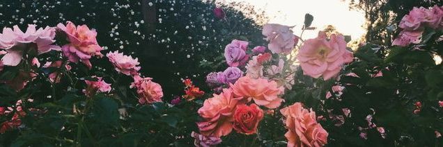 teewlove's profile banner image