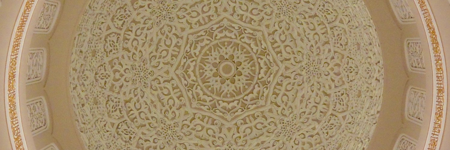 Leila Mansouri's banner