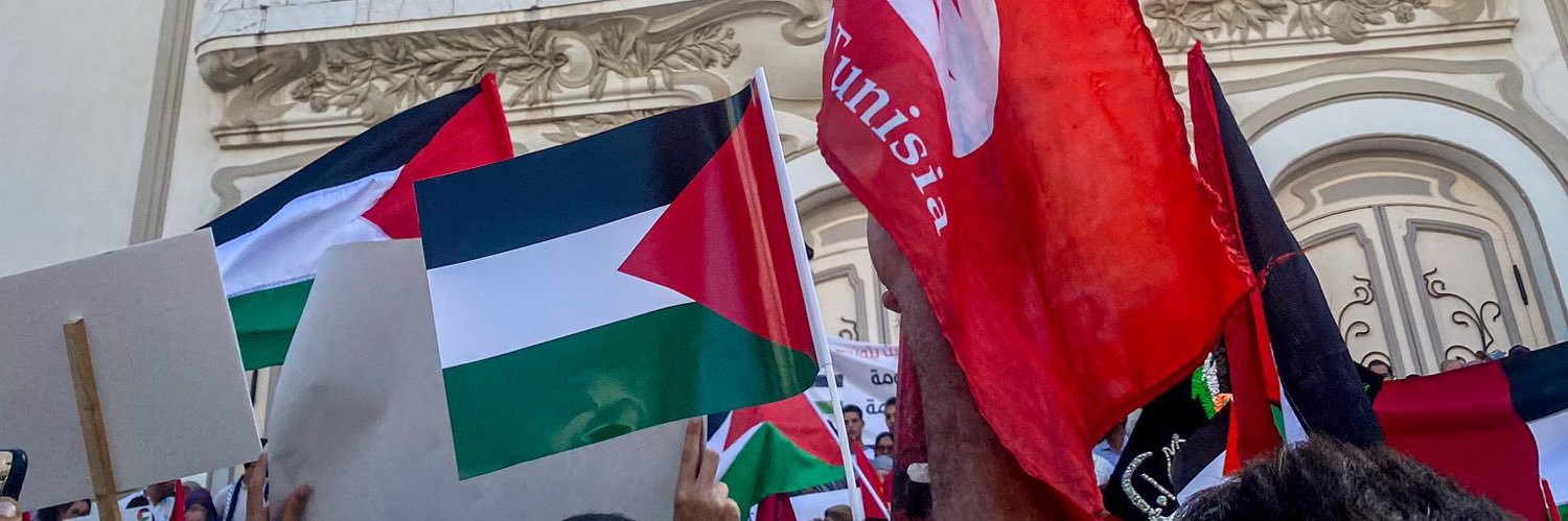 🇵🇸 banner