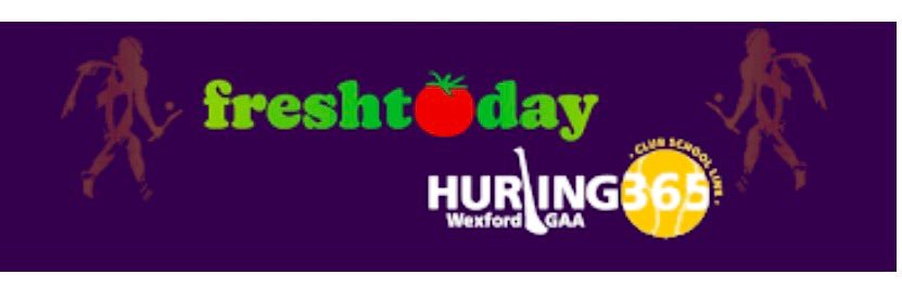 Hurling365 banner