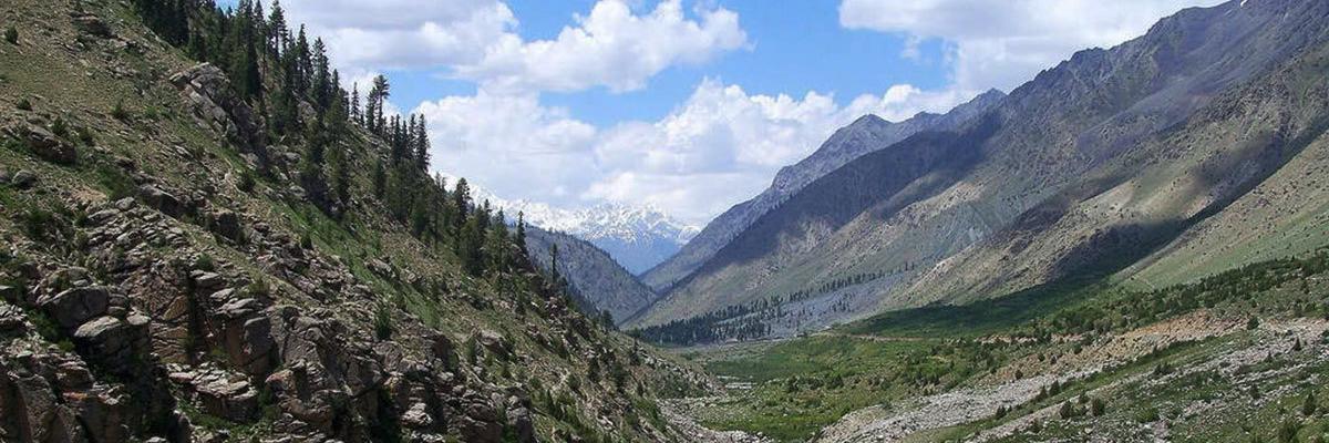 PakLonglive's profile banner image
