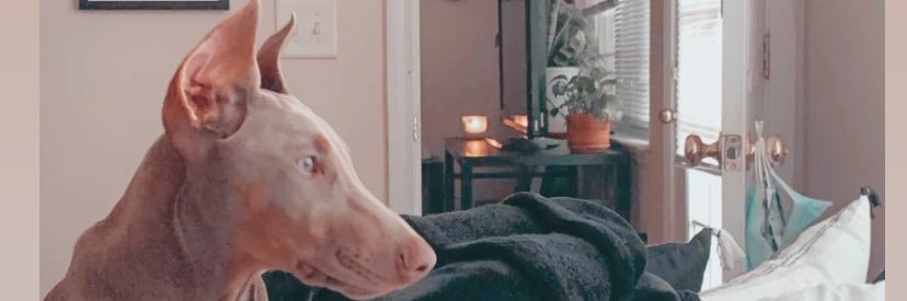 SarahVictoriaa3's profile banner image