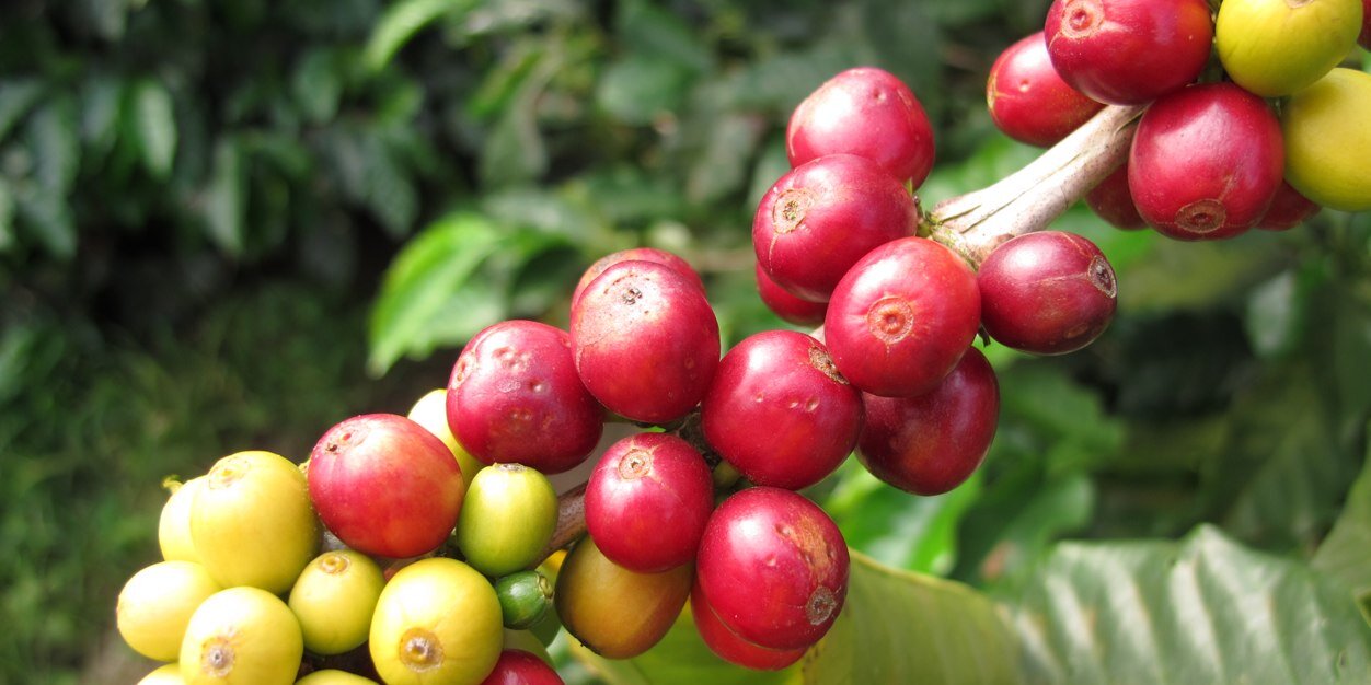 worldoftravelling banner