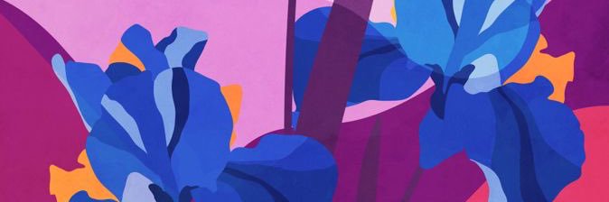 rsukmanp's profile banner image