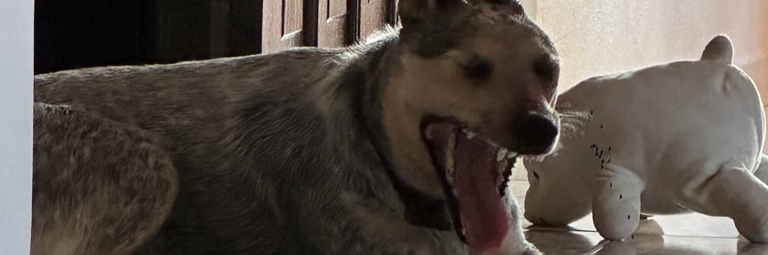 luizmansanof's profile banner image