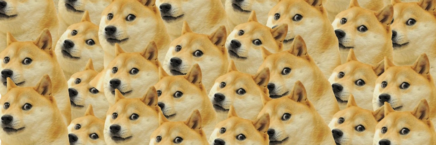 NicolassAF's profile banner image