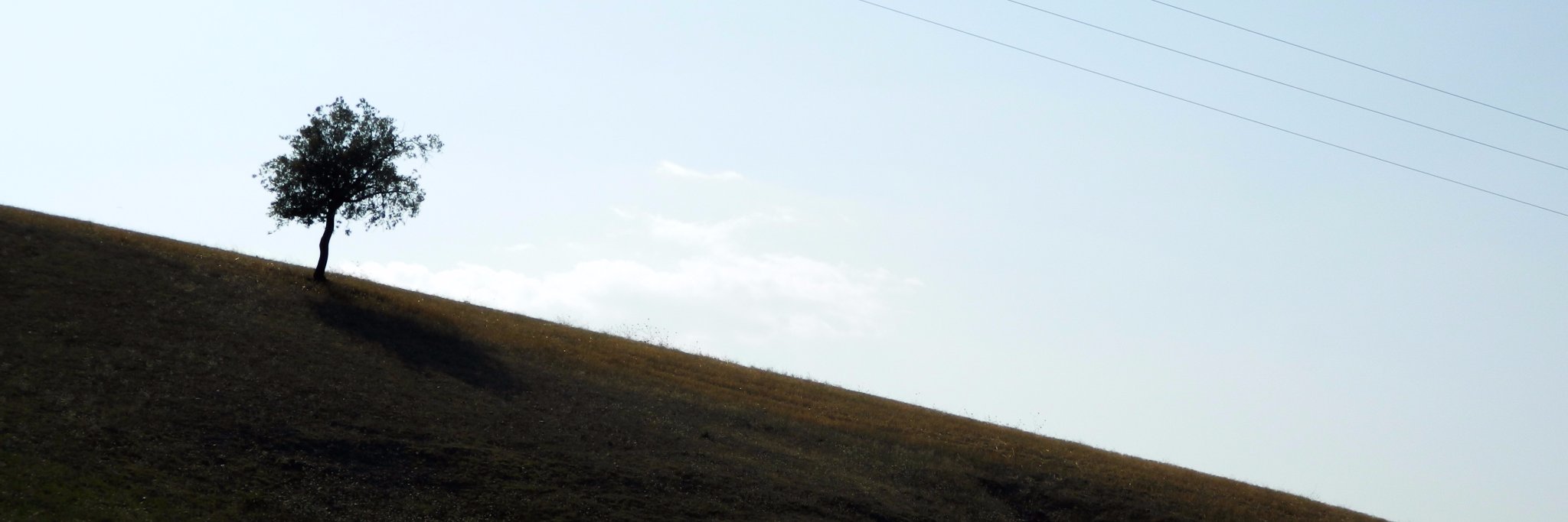 Twitter banner for @Wapqi