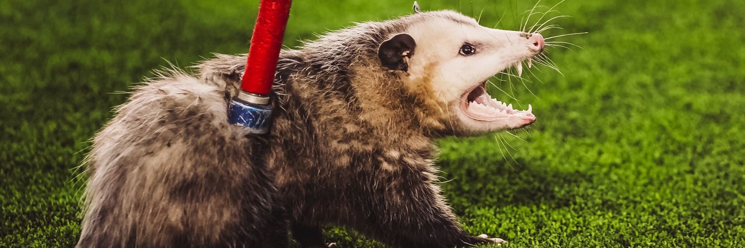 Truck Robinson 🚛 banner