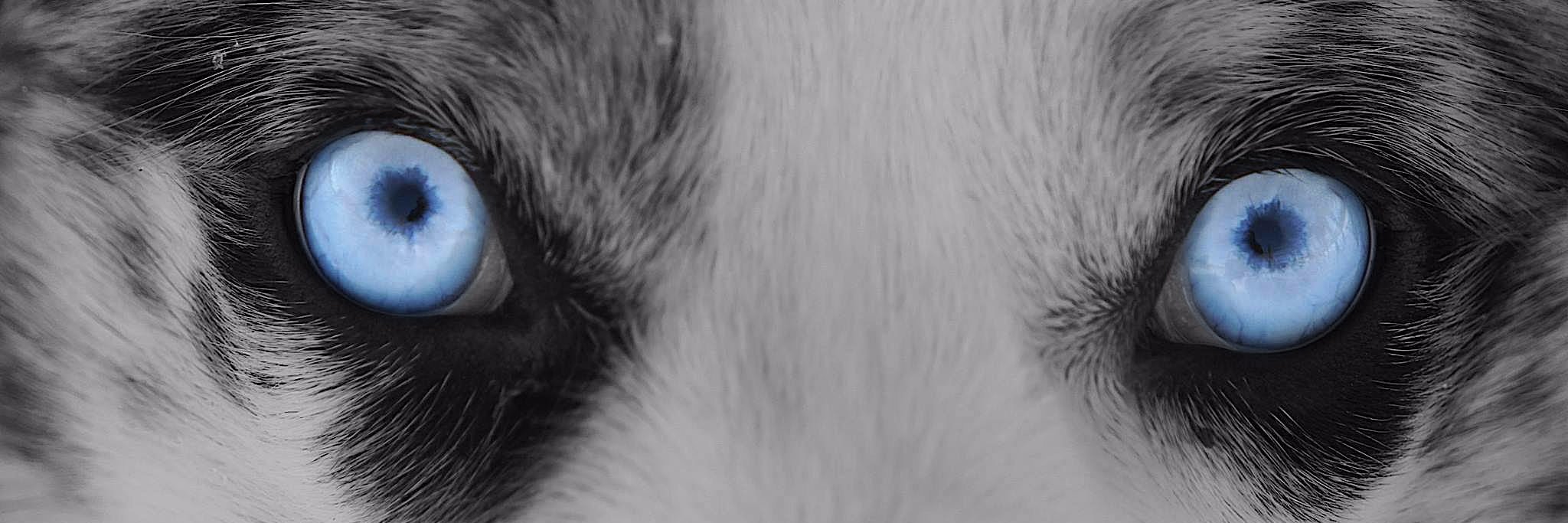 JaCorbettTweets's profile banner image
