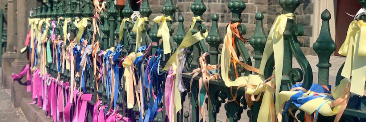 ann schofield banner