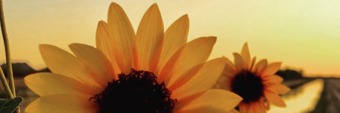 is_dre37's profile banner image
