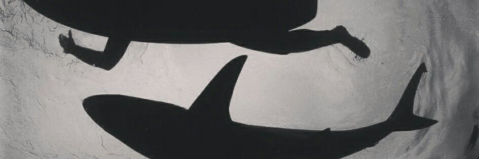 CStamate's profile banner image