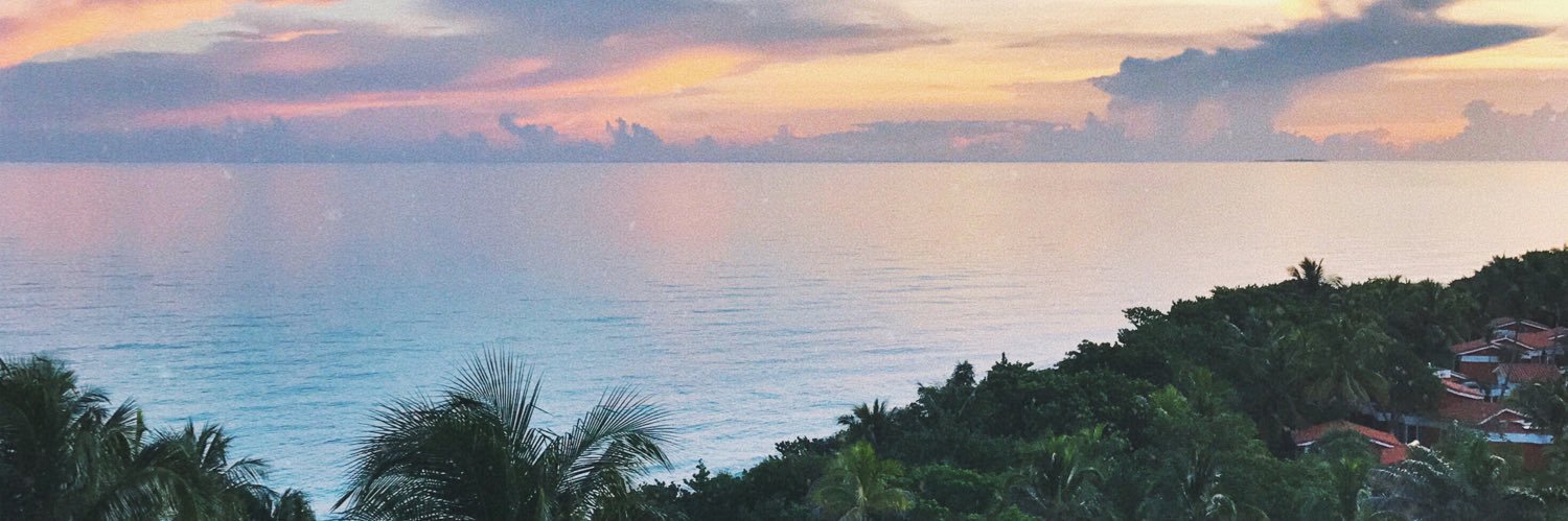 Sararasco's profile banner image