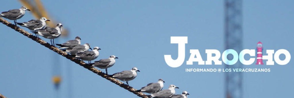JarochoVer's profile banner image