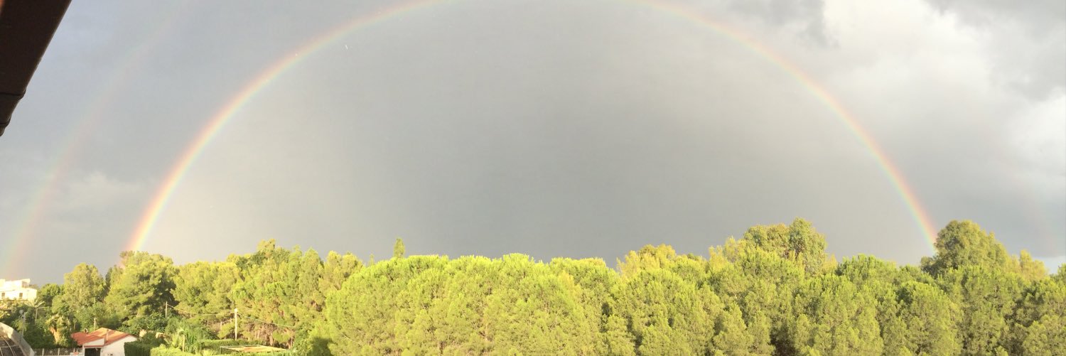 AngeloCrippa's profile banner image
