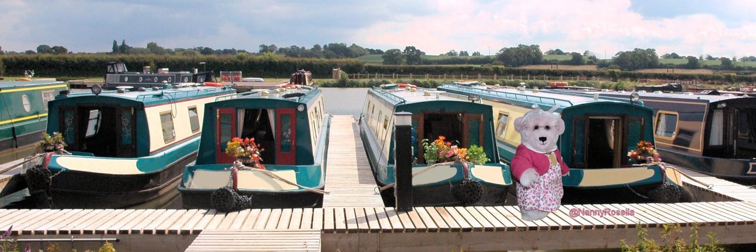 NannyRosella's profile banner image