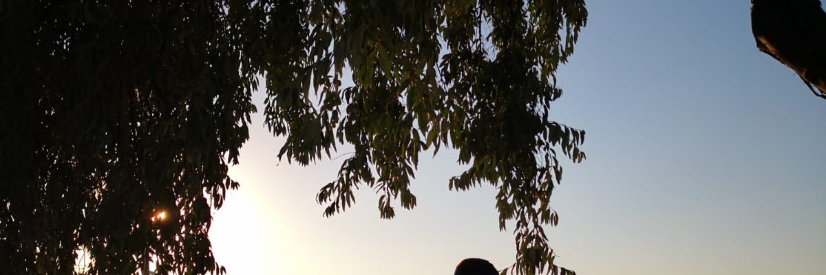 Lenossss's profile banner image